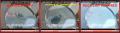 See auto glass rock chip repair in a large before and after photo.
